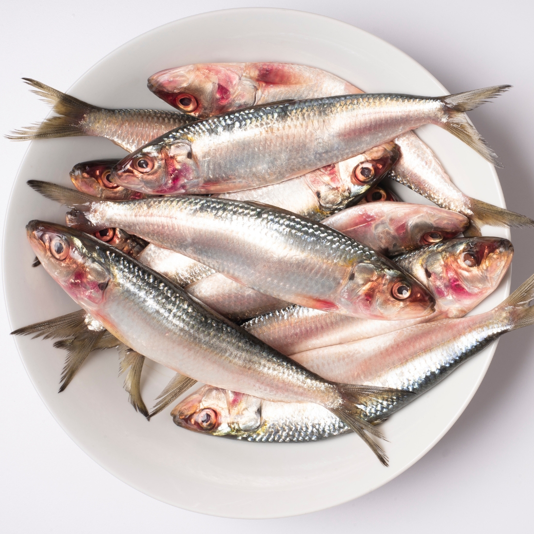 Sardines/ Tarli (टारली) - Bombay Fresh Fish